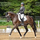 D-12/1 Dressur Kl. L