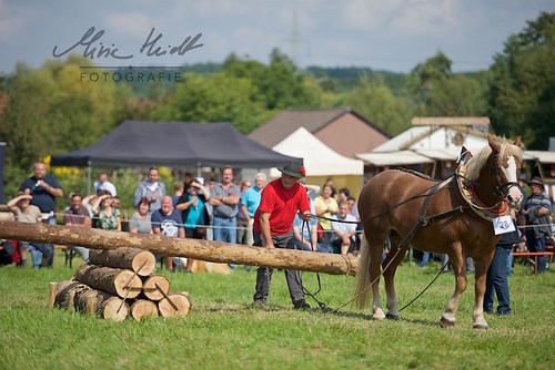 HNI_20170903_MHE1167