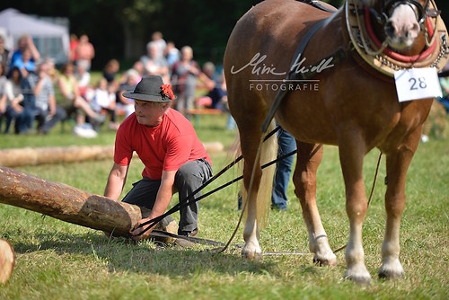 HNI_20170903_MHE1170