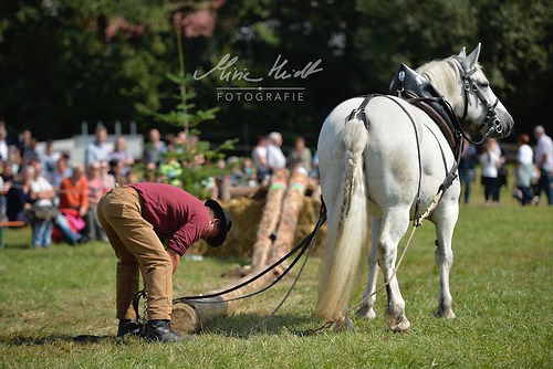 HNI_20170903_MHE1172