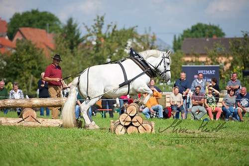 HNI_20170903_MHE1191