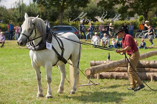 HNI_20170903_MHE1198