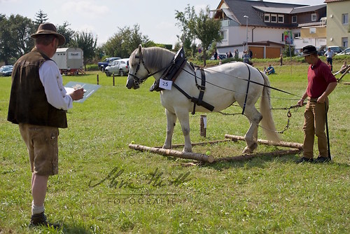 HNI_20170903_MHE1209