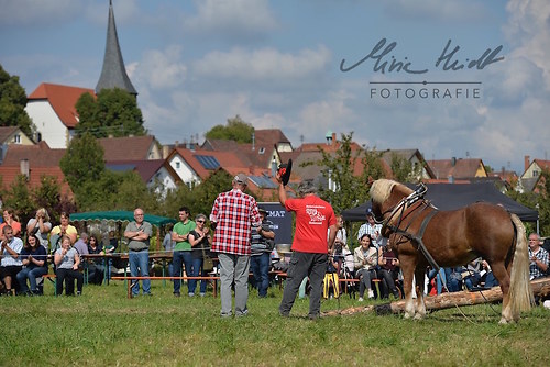 HNI_20170903_MHE1213