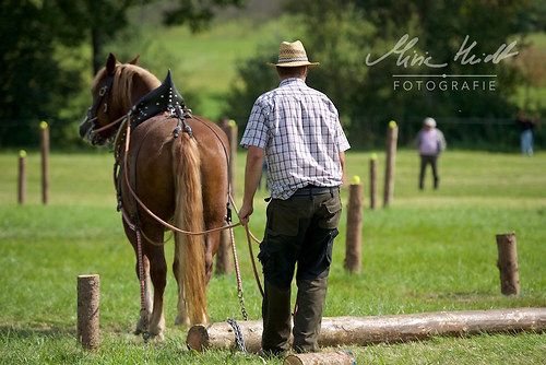 HNI_20170903_MHE1247