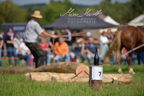 HNI_20170903_MHE1252