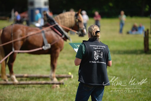 HNI_20170903_MHE1263