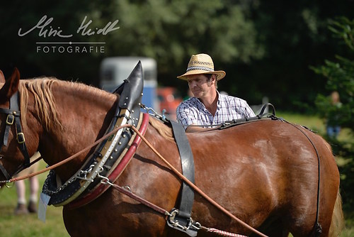 HNI_20170903_MHE1265