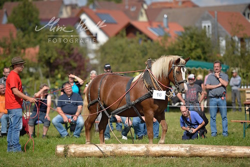 HNI_20170903_MHE1273