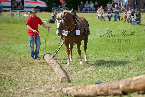 HNI_20170903_MHE1274