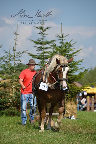 HNI_20170903_MHE1289