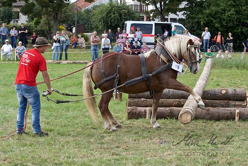 HNI_20170903_MHE1308