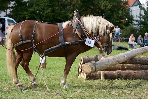 HNI_20170903_MHE1319