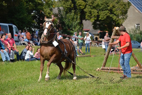 HNI_20170903_MHE1324