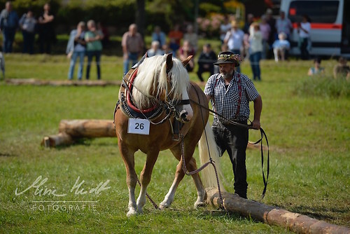 HNI_20170903_MHE1327