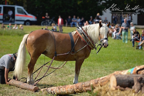 HNI_20170903_MHE1330