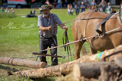 HNI_20170903_MHE1335