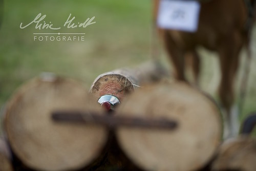 HNI_20170903_MHE1340