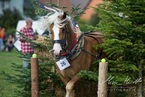 HNI_20170903_MHE1342