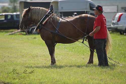 HNI_20170903_MHE1346