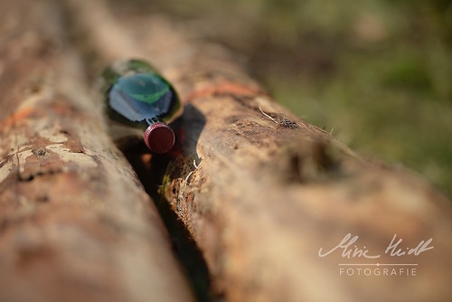 HNI_20170903_MHE1365