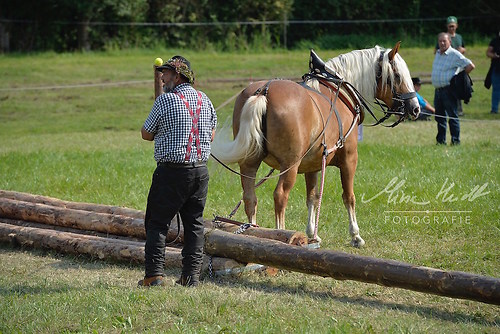 HNI_20170903_MHE1370