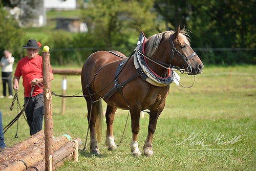 HNI_20170903_MHE1386