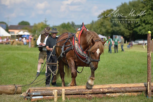 HNI_20170903_MHE1391