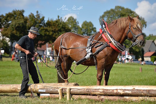 HNI_20170903_MHE1395