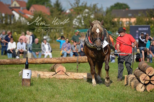 HNI_20170903_MHE1400