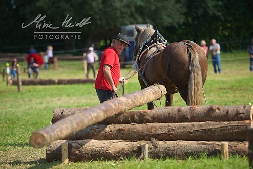 HNI_20170903_MHE1413