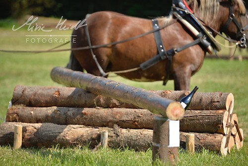 HNI_20170903_MHE1423