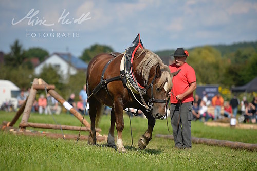 HNI_20170903_MHE1431