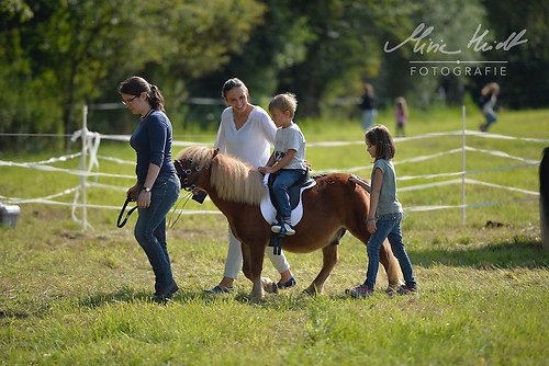 HNI_20170903_MHE1442