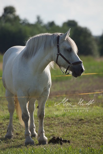 HNI_20170903_MHE1544