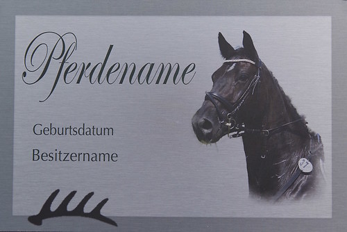 Boxenschild_gebuerstetes_Aluminium