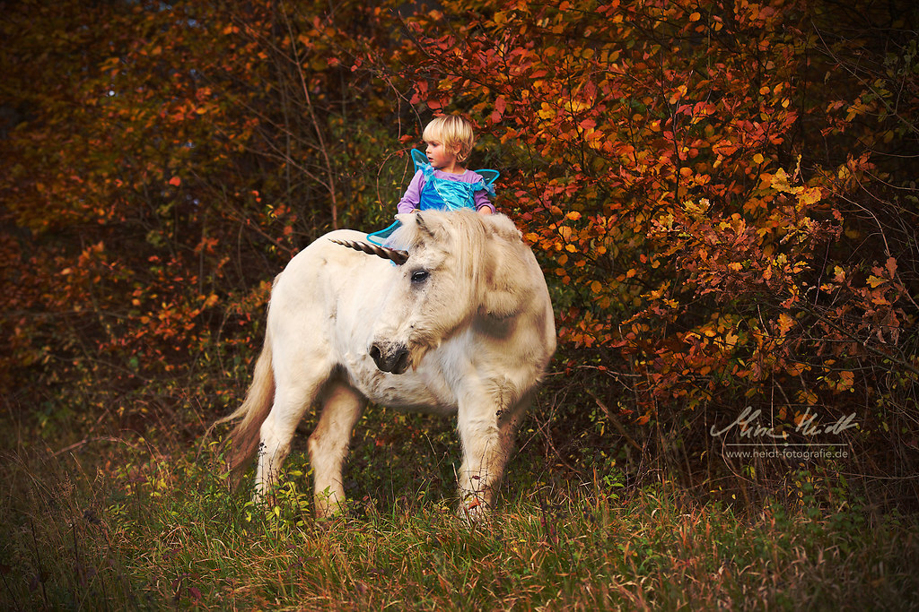 EInh_20171104_MHE7163 dunkel