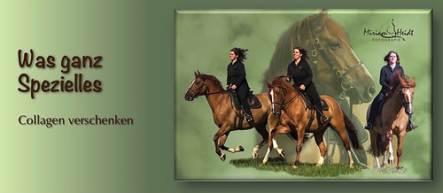 Collagen_verschenken