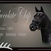 Collage_Boxenschild_Rappe -