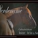 Boxenschild_Araberberber -