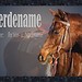 Boxenschild_Quarter -