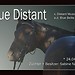 Boxenschild Blue Distant -