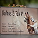 Boxenschild_Alu_MHE6914 -
