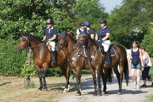 ST319 (RVRenn_201507DSC_0204)