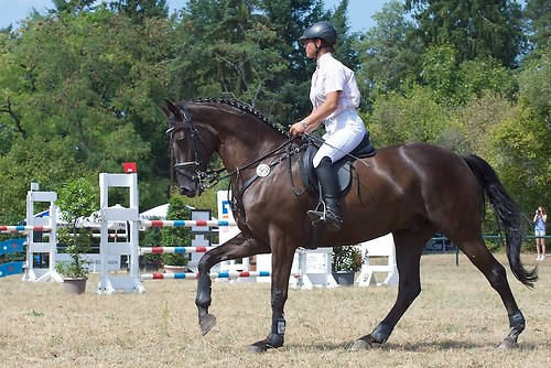 Heims_20150807_MHE0191