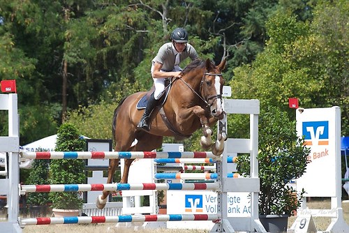 ST508 (Heims_20150807_MHE0213)