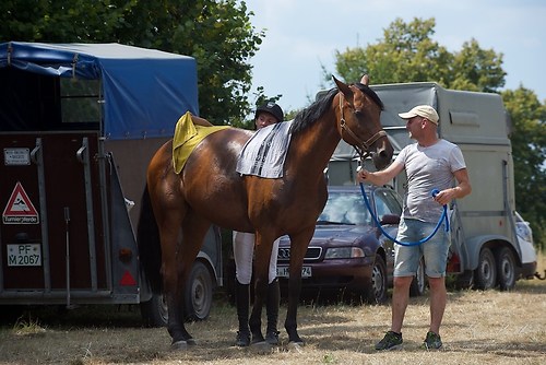 Heims_20150807_MHE0242