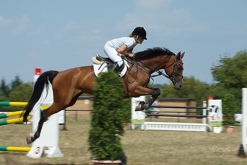 Heims_20150807_MHE0650