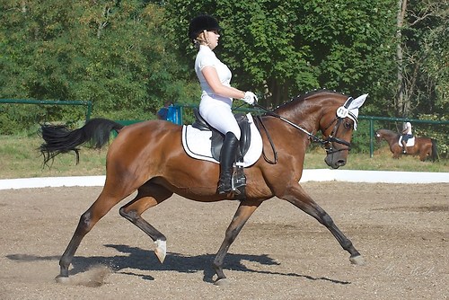 Heims_20150808_MHE1356