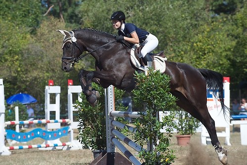 Heims_20150808_MHE1635